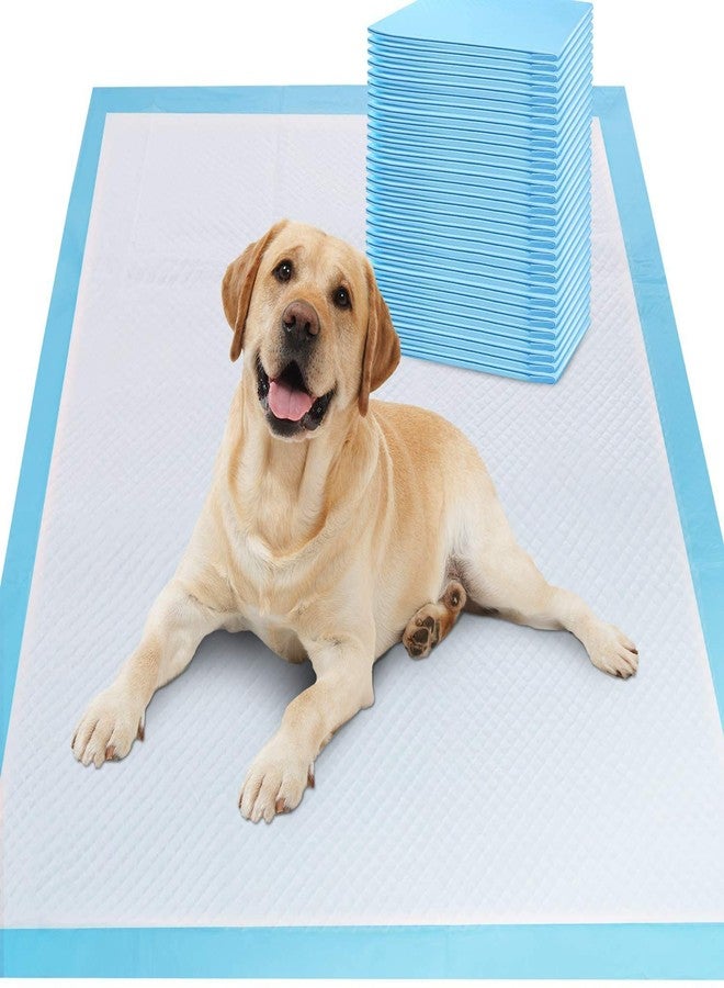 Dutiful Training Pet Potty and Pee Pads with Quick Drying Surface and Absorbent Core/Suitable for Small/Large Breed Puppies/Pets- (60 X 90 cm), 10 Pieces - Image 1